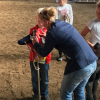 Steckenpferd Turnier 2017