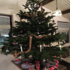 Weihnachtsfeier 2017