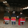 Reitabzeichen 2018
