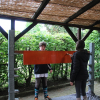 Stangen Streichen 2018